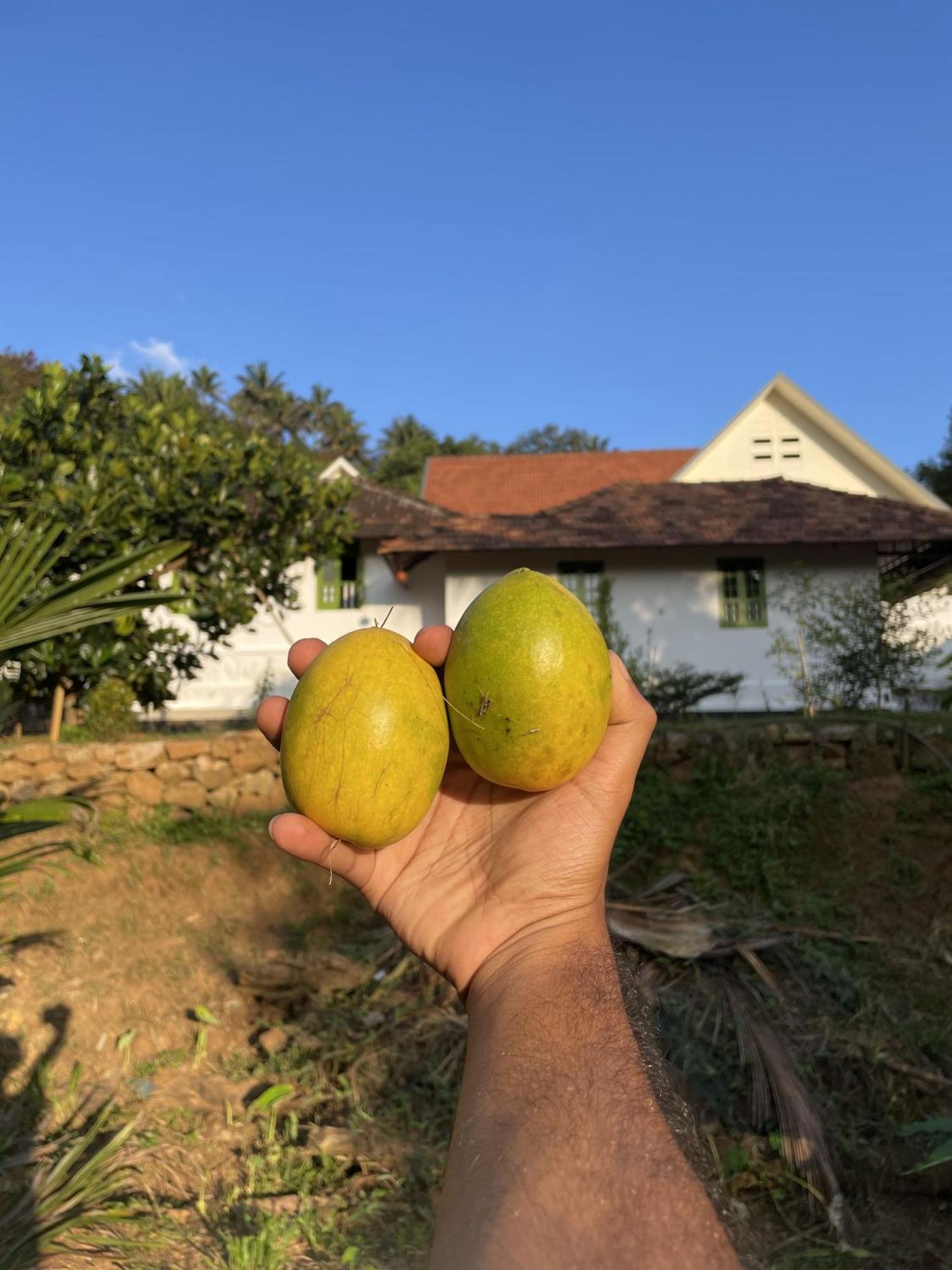Calm Shack - 2 Bedroom-Boutique Farm Stay Munnar Exterior foto
